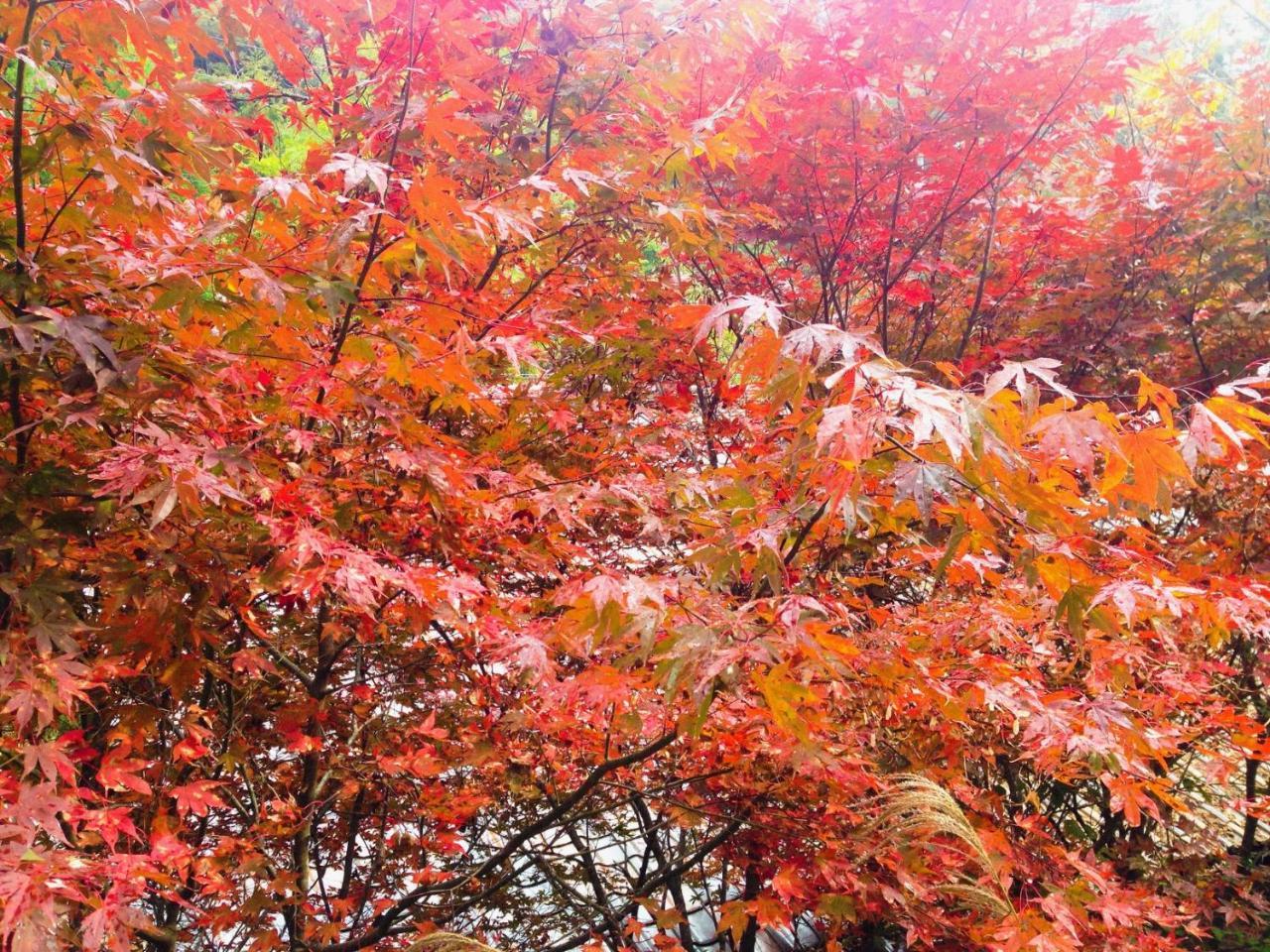 Guest House Eleven Village Fukiya ภายนอก รูปภาพ